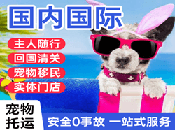 日照山字河机场快运国际宠物托运 【国